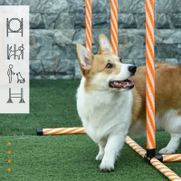 PawHut Attrezzi Agility Dog Set Completo Percorso Agility Dog con 5 Pezzi Slalom, Ostacolo e Tunnel, Arancione(m-7)