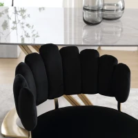 Set di 2 Sedie da Pranzo in Velluto Morbido con Schienale Ergonomico e Braccioli, per Soggiorno e Camera da Letto, Nero(m-10)