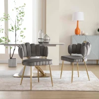 Set di 2 Sedie da Pranzo in Velluto Morbido con Schienale Ergonomico e Braccioli, per Soggiorno e Camera da Letto, Grigio(m-8)