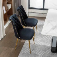 Set di Due Sedie Eleganti in Velluto Morbido con Schienale Imbottito e Gambe in Metallo Dorato, Nero(m-6)
