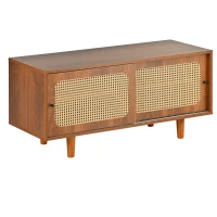 Mueble Zapatero de Ratán con 2 Puertas y Estantes Regulables Color Nogal(m-1)