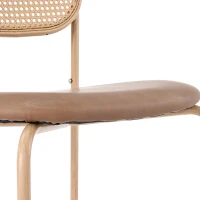 Set di 4 Sedie Sala da Pranzo Moderne in Rattan con Struttura in Metallo, 60x50x48 cm, Marrone(m-7)