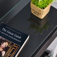 HOMCOM Ethanolkachel bio-ethanolbrander(m-9)