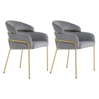 Set di 2 Sedie Moderne Imbottite in tessuto effetto velluto con Gambe in Metallo, Grigio(m-2)