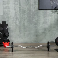 SPORTNOW Hantelscheibe, 2er-Set, 10 kg pro Scheibe, drei Griffe, bodenschonender Gummimantel, Metall(m-9)