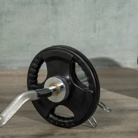 SPORTNOW Hantelscheibe, 2er-Set, 10 kg pro Scheibe, drei Griffe, bodenschonender Gummimantel, Metall(m-7)