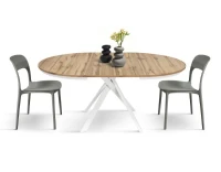 PAZZO DESIGN Tavolo Allungabile con Gambe Incrociate rotondo, Made in Italy, Basamento bianco, Rovere rustico(m-4)