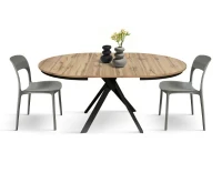 PAZZO DESIGN Tavolo Allungabile con Gambe Incrociate rotondo, Made in Italy, Basamento Nero, Rovere rustico(m-3)