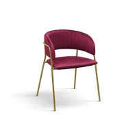 PAZZO DESIGN Sedia Penelope Bordeaux set da 2 sedie in velluto e gambe in metallo(m-1)