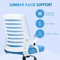 Vinsetto Scaun Ergonomic Reglabil pe Înălțime cu Cotiere de Ridicare, Scaun de Birou Pivotant din Poliester, 54x54x89-99 cm, Albastru(m-6)