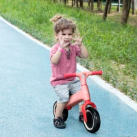 AIYAPLAY Bicicleta de Equilíbrio para Crianças de 18-36 Meses com Assento Ajustável em Altura Suporta 25 kg 67,5x32x44 cm Rosa(m-2)