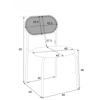 Set de 2 scaune de dining moderne din ratan cu cadru metalic, 56x52x27 cm, Maro(m-3)