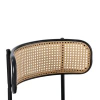 Set 4 scaune de dining din țesătură cu efect de catifea, picioare din metal și spătar din ratan, 60x18x86 cm, Gri(m-6)