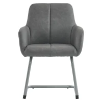 Ensemble de 2 Chaises de Salle à Manger Modernes avec Pieds Courbés en Acier, Assise Ergonomique en Microfibre, Gris(m-10)
