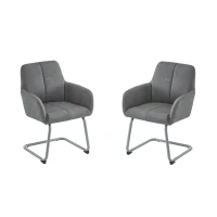 Ensemble de 2 Chaises de Salle à Manger Modernes avec Pieds Courbés en Acier, Assise Ergonomique en Microfibre, Gris(m-2)