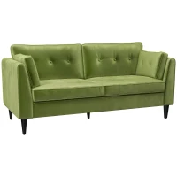 HOMCOM Canapea Dublă, Mobilă Modernă cu Butoni Capitonați, Canapea Tapițată cu 2 Locuri și 2 Perne, 172x75x82 cm, Verde(m-1)