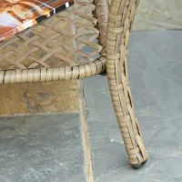 Outsunny Set Mobilier de Gradina in Ratan PE 2 fotolii Canpea cu 2 locuri si masa(m-11)