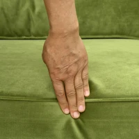 HOMCOM Canapea Dublă, Mobilă Modernă cu Butoni Capitonați, Canapea Tapițată cu 2 Locuri și 2 Perne, 172x75x82 cm, Verde(m-9)