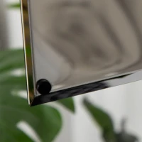 kleankin Spiegelkast, Badkamerkast, 3 Legplanken, Roestvrij Metalen Frame, 39x12x60cm, Zilver(m-9)