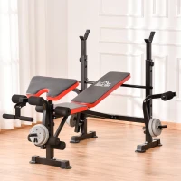 HOMCOM Adjustable Weight Bench with Leg Developer Barbell Rack for Weight Lifting and Strength Training Multifunctional Workout Station for Home Gym Fitness(m-2)
