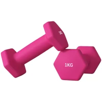 SPORTNOW Set de 2 Greutăți Hexagonale, Set de Gantere cu Prindere Antiderapantă pentru Antrenament de Fitness Acasă, 2x1 kg, 13x5x5 cm, Roz(m-10)