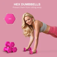 SPORTNOW Set de 2 Greutăți Hexagonale, Set de Gantere cu Prindere Antiderapantă pentru Antrenament de Fitness Acasă, 2x1 kg, 13x5x5 cm, Roz(m-4)