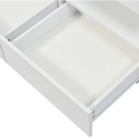 Table Basse Moderne avec Éclairage LED et Étagères en Acrylique, 100x60x49,5 cm, Blanc(m-8)