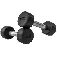 SPORTNOW Set 2 Gantere de 2 kg din Metal și Cauciuc, Set Gantere cu Mâner Antialunecare, 22x7.5x7.5 cm, Negru(m-10)