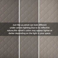 Upholstered Velvet Dining Chairs with Nail Head Trim and Adjustable Solid Wood Legs, Set of 2, Grey(m-6)