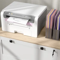 HOMCOM Armário de Escritório Móvel Arquivador com 2 Gavetas 2 Barras Suspensas para Tamanho A4 e 2 Chaves 79x40x72 cm Branco e Madeira(m-8)