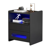 Set di 2 Comodini Moderni per Camera da Letto con Illuminazione LED e 2 Cassetti, Tavolini da Notte con Telecomando, Nero(m-10)