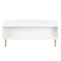 Tavolino da Salotto Moderno con 2 Cassetti e Design a Righe Verticali, 100x50x40 cm - Tavolino da Divano, Bianco+Oro(m-7)