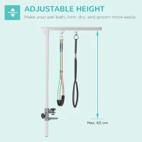 PawHut Adjustable Pet Grooming Arm, with Clamp, Haunch Holders & Grooming Loop - Sliver-Tone(m-5)