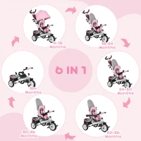 HOMCOM 6 in 1 Kids Trike Push Bike w/ Push Handle, Canopy, 5-point Safety Belt, Storage, Footrest, Brake, for 1-5 Years, Pink(m-4)