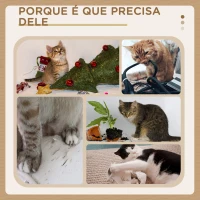 PawHut Arranhador para Gatos Médio de 3 Níveis  com Postes de Sisal Placa para Arranhar e Bola Suspensa 40x35x72 cm Creme(m-6)