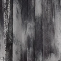 HOMCOM Hangende Skelet-Geesten, 3-delig, Halloween Decoratie, Verstelbare Armen, 90/110/200cm(m-9)