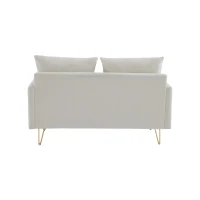 Divano Moderno in Velluto a 2 Posti con Contenitore e Cuscini, Gambe in Metallo Dorato, Ideale per Soggiorno e Ufficio, 135x71x71 cm, Beige(m-10)