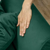 HOMCOM Canapea Extensibilă Clic Clac cu Spătar Reglabil și 2 Perne, din Material cu Efect Catifea, 215x83x87 cm, Verde(m-8)
