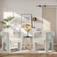 Chenille Fabric Modern Arm Chair Set of 2 with Comfortable Cushions and Pillows, for Living Room - Beige(m-1)