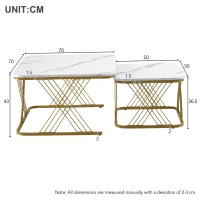 Nest of 2 Settee Side Table with Gold Metal Frame, Marble Pattern Top, Multi-functional Modern Coffee Table for Home, 70x70x43 cm, White(m-3)