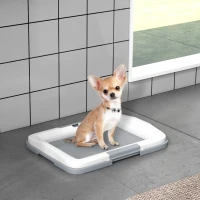 PawHut Dog Toilet Tray for Training Dogs, Dog Litter Tray for Indoor, Outdoor, 47 x 34 x 6cm(m-2)