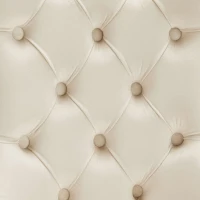 Set di 2 sedie imbottite per sala da Pranzo in Velluto, Design con Cucitura Bottoni, 50x46x91 cm, Beige(m-6)