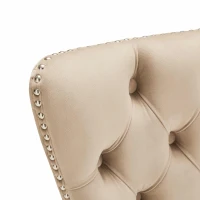 Set di 2 sedie imbottite per sala da Pranzo in Velluto, Design con Cucitura Bottoni, 50x46x91 cm, Marrone Chiaro(m-4)