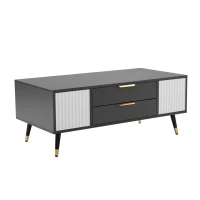 Măsuță de cafea modernă 100×50×40 cm cu 2 uși, 2 sertare și accente aurii, spațiu de depozitare practic, Alb+gri(m-7)