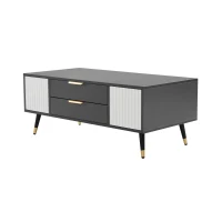 Măsuță de cafea modernă 100×50×40 cm cu 2 uși, 2 sertare și accente aurii, spațiu de depozitare practic, Alb+gri(m-9)