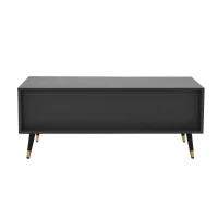 Măsuță de cafea modernă 100×50×40 cm cu 2 uși, 2 sertare și accente aurii, spațiu de depozitare practic, Alb+gri(m-8)