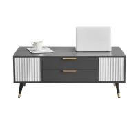 Măsuță de cafea modernă 100×50×40 cm cu 2 uși, 2 sertare și accente aurii, spațiu de depozitare practic, Alb+gri(m-6)