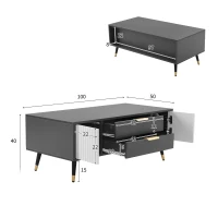 Măsuță de cafea modernă 100×50×40 cm cu 2 uși, 2 sertare și accente aurii, spațiu de depozitare practic, Alb+gri(m-3)