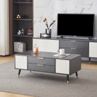 Măsuță de cafea modernă 100×50×40 cm cu 2 uși, 2 sertare și accente aurii, spațiu de depozitare practic, Alb+gri(m-4)