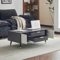 Măsuță de cafea modernă 100×50×40 cm cu 2 uși, 2 sertare și accente aurii, spațiu de depozitare practic, Alb+gri(m-5)